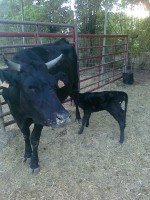 /album/fotogaleria-inicio/movil-marta-235-jpg/